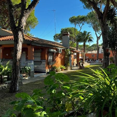 Chalet Los Pinos Con Piscina Privada Novo Sancti Petri Eksteriør bilde